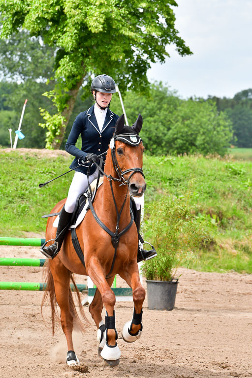 Goldene Schärpe PFerde  in Löningen  11+12.6.22 | 22062022 Springen 2 Abt _170 