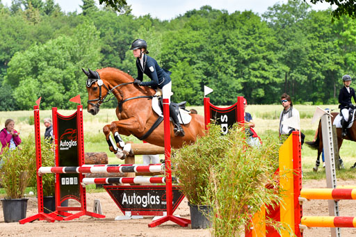 Goldene Schärpe PFerde  in Löningen  11+12.6.22 | 22062022 Springen 2 Abt _172 