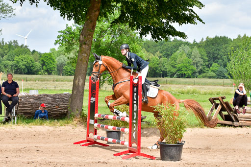 Goldene Schärpe PFerde  in Löningen  11+12.6.22 | 22062022 Springen 2 Abt _174 