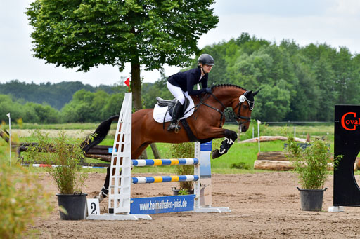 Goldene Schärpe PFerde  in Löningen  11+12.6.22 | 22062022 Springen 2 Abt _177 
