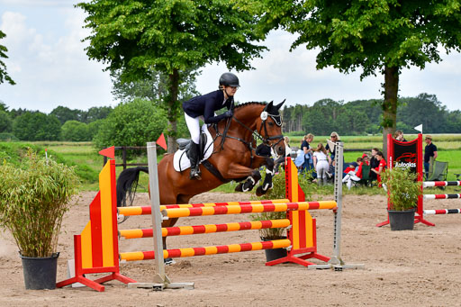 Goldene Schärpe PFerde  in Löningen  11+12.6.22 | 22062022 Springen 2 Abt _179 