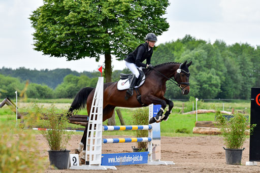 Goldene Schärpe PFerde  in Löningen  11+12.6.22 | 22062022 Springen 2 Abt _189 