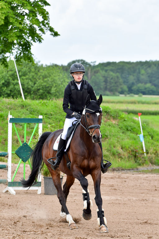 Goldene Schärpe PFerde  in Löningen  11+12.6.22 | 22062022 Springen 2 Abt _192 