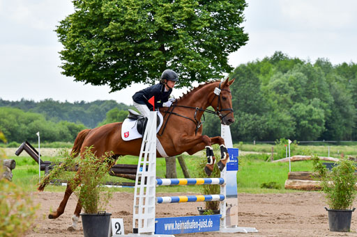Goldene Schärpe PFerde  in Löningen  11+12.6.22 | 22062022 Springen 2 Abt _197 