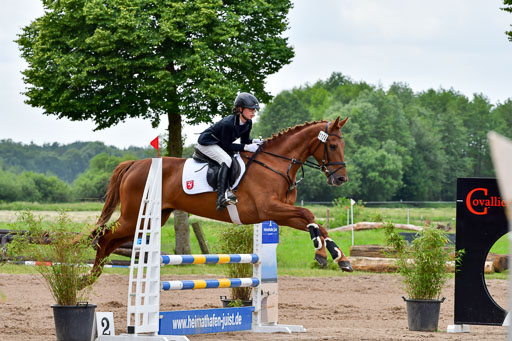 Goldene Schärpe PFerde  in Löningen  11+12.6.22 | 22062022 Springen 2 Abt _198 