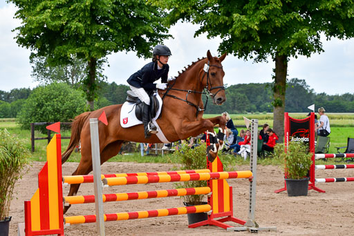 Goldene Schärpe PFerde  in Löningen  11+12.6.22 | 22062022 Springen 2 Abt _201 