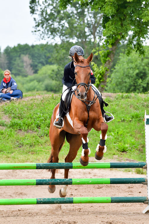 Goldene Schärpe PFerde  in Löningen  11+12.6.22 | 22062022 Springen 2 Abt _203 