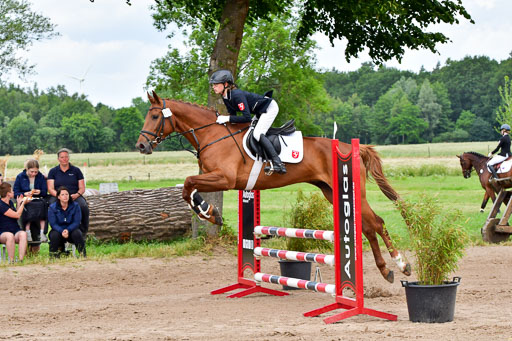 Goldene Schärpe PFerde  in Löningen  11+12.6.22 | 22062022 Springen 2 Abt _208 