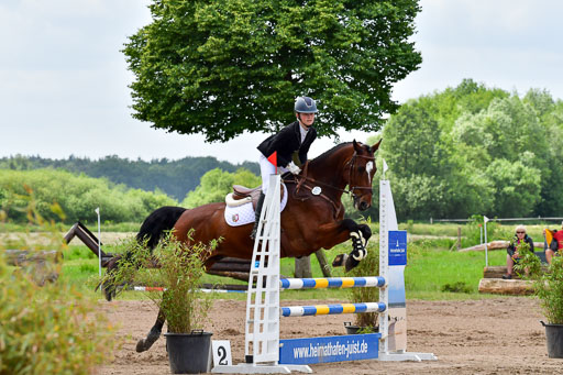 Goldene Schärpe PFerde  in Löningen  11+12.6.22 | 22062022 Springen 2 Abt _210 