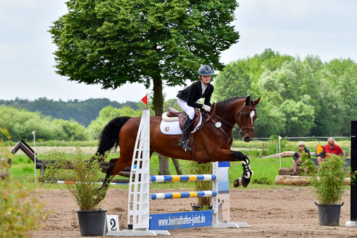 Goldene Schärpe PFerde  in Löningen  11+12.6.22 | 22062022 Springen 2 Abt _211 