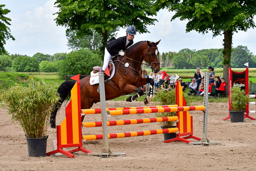 Goldene Schärpe PFerde  in Löningen  11+12.6.22 | 22062022 Springen 2 Abt _213 
