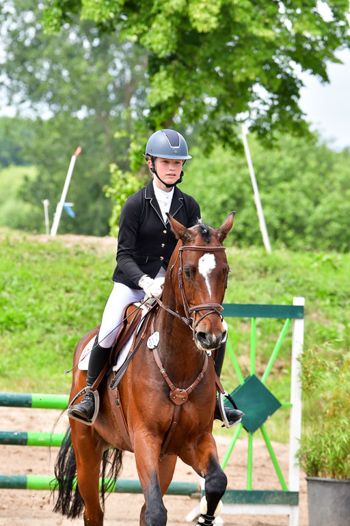 Goldene Schärpe PFerde  in Löningen  11+12.6.22 | 22062022 Springen 2 Abt _217 