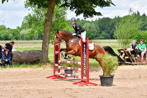 Goldene Schärpe PFerde  in Löningen  11+12.6.22 | 22062022 Springen 2 Abt _221 
