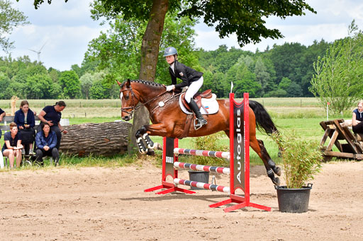 Goldene Schärpe PFerde  in Löningen  11+12.6.22 | 22062022 Springen 2 Abt _222 