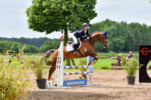 Goldene Schärpe PFerde  in Löningen  11+12.6.22 | 22062022 Springen 2 Abt _223 