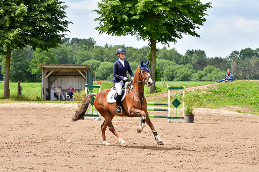 Goldene Schärpe PFerde  in Löningen  11+12.6.22 | 22062022 Springen 2 Abt _224 