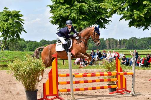 Goldene Schärpe PFerde  in Löningen  11+12.6.22 | 22062022 Springen 2 Abt _225 