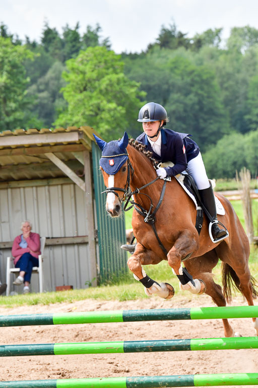 Goldene Schärpe PFerde  in Löningen  11+12.6.22 | 22062022 Springen 2 Abt _229 