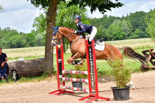 Goldene Schärpe PFerde  in Löningen  11+12.6.22 | 22062022 Springen 2 Abt _232 