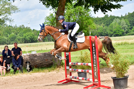 Goldene Schärpe PFerde  in Löningen  11+12.6.22 | 22062022 Springen 2 Abt _233 