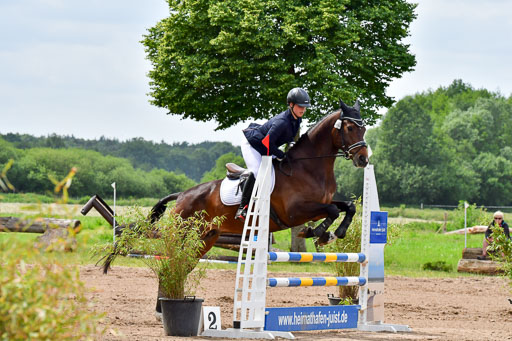 Goldene Schärpe PFerde  in Löningen  11+12.6.22 | 22062022 Springen 2 Abt _235 
