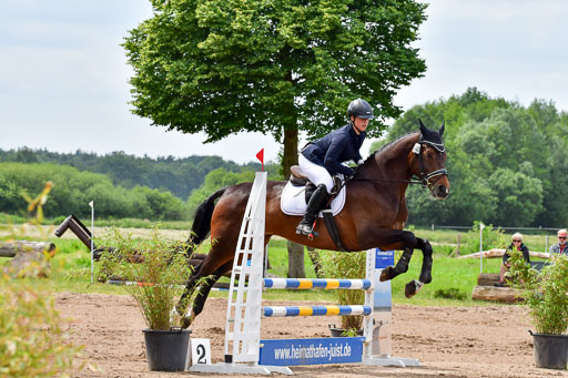 Goldene Schärpe PFerde  in Löningen  11+12.6.22 | 22062022 Springen 2 Abt _236 