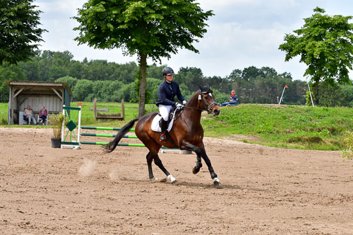 Goldene Schärpe PFerde  in Löningen  11+12.6.22 | 22062022 Springen 2 Abt _237 