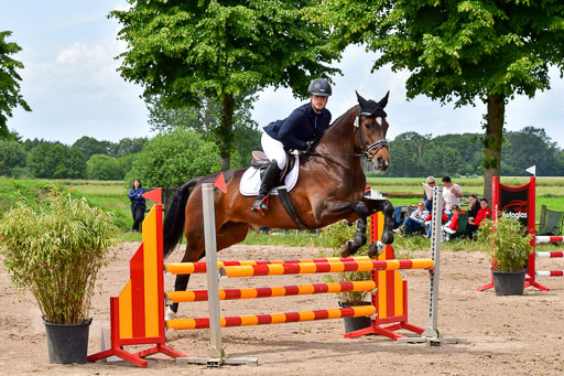 Goldene Schärpe PFerde  in Löningen  11+12.6.22 | 22062022 Springen 2 Abt _238 