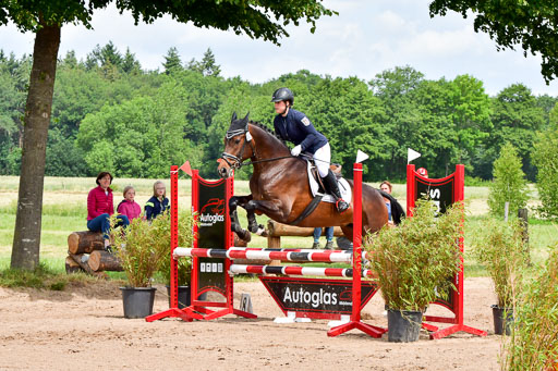 Goldene Schärpe PFerde  in Löningen  11+12.6.22 | 22062022 Springen 2 Abt _242 
