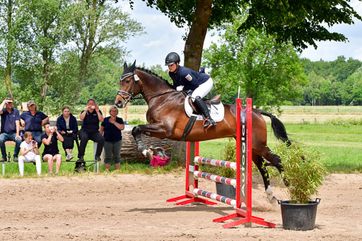 Goldene Schärpe PFerde  in Löningen  11+12.6.22 | 22062022 Springen 2 Abt _244 