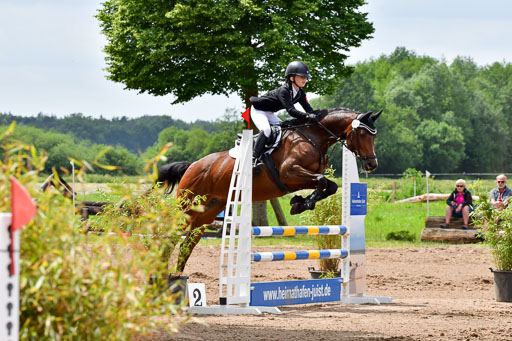 Goldene Schärpe PFerde  in Löningen  11+12.6.22 | 22062022 Springen 2 Abt _245 