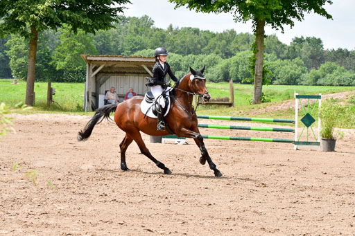 Goldene Schärpe PFerde  in Löningen  11+12.6.22 | 22062022 Springen 2 Abt _247 