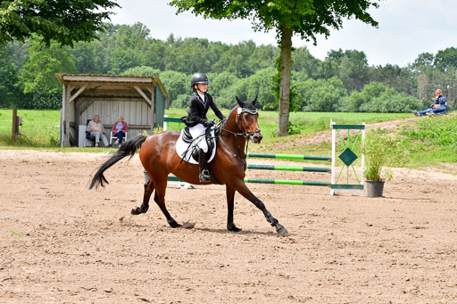 Goldene Schärpe PFerde  in Löningen  11+12.6.22 | 22062022 Springen 2 Abt _248 