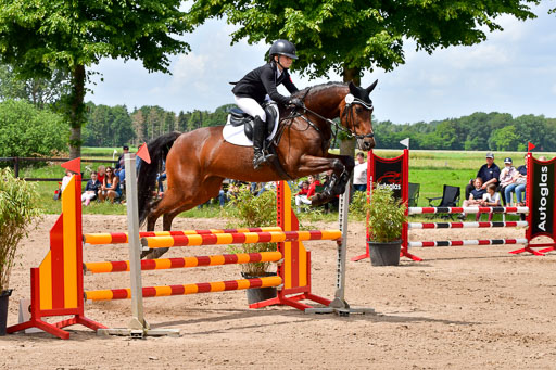Goldene Schärpe PFerde  in Löningen  11+12.6.22 | 22062022 Springen 2 Abt _251 