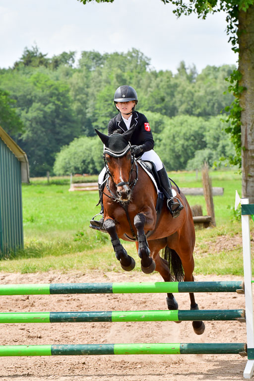 Goldene Schärpe PFerde  in Löningen  11+12.6.22 | 22062022 Springen 2 Abt _253 