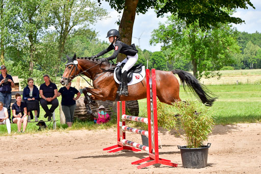 Goldene Schärpe PFerde  in Löningen  11+12.6.22 | 22062022 Springen 2 Abt _258 