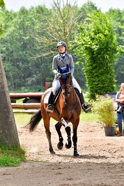 Goldene Schärpe PFerde  in Löningen  11+12.6.22 | 22062022 Springen 2 Abt _259 