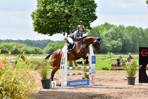 Goldene Schärpe PFerde  in Löningen  11+12.6.22 | 22062022 Springen 2 Abt _262 