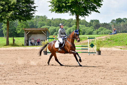 Goldene Schärpe PFerde  in Löningen  11+12.6.22 | 22062022 Springen 2 Abt _264 