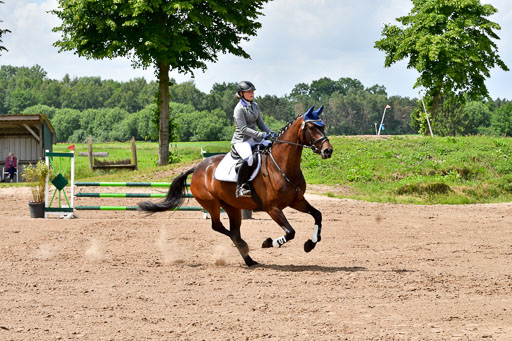 Goldene Schärpe PFerde  in Löningen  11+12.6.22 | 22062022 Springen 2 Abt _265 