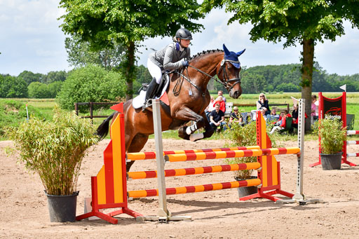Goldene Schärpe PFerde  in Löningen  11+12.6.22 | 22062022 Springen 2 Abt _266 