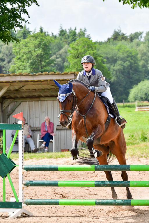 Goldene Schärpe PFerde  in Löningen  11+12.6.22 | 22062022 Springen 2 Abt _269 