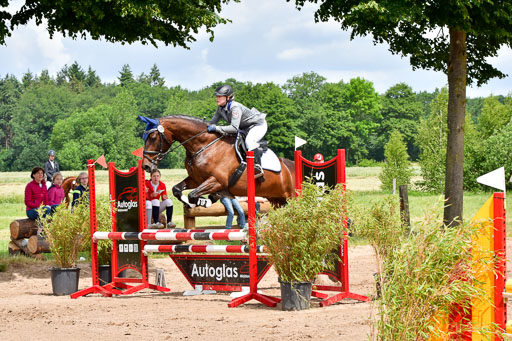 Goldene Schärpe PFerde  in Löningen  11+12.6.22 | 22062022 Springen 2 Abt _271 