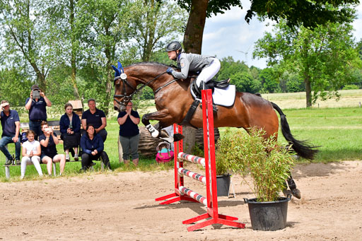 Goldene Schärpe PFerde  in Löningen  11+12.6.22 | 22062022 Springen 2 Abt _273 