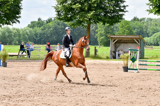Goldene Schärpe PFerde  in Löningen  11+12.6.22 | 22062022 Springen 2 Abt _276 