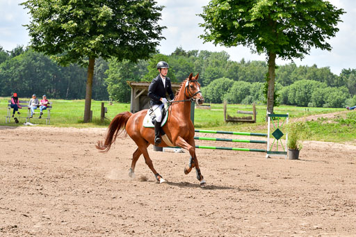 Goldene Schärpe PFerde  in Löningen  11+12.6.22 | 22062022 Springen 2 Abt _277 