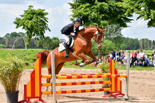 Goldene Schärpe PFerde  in Löningen  11+12.6.22 | 22062022 Springen 2 Abt _278 