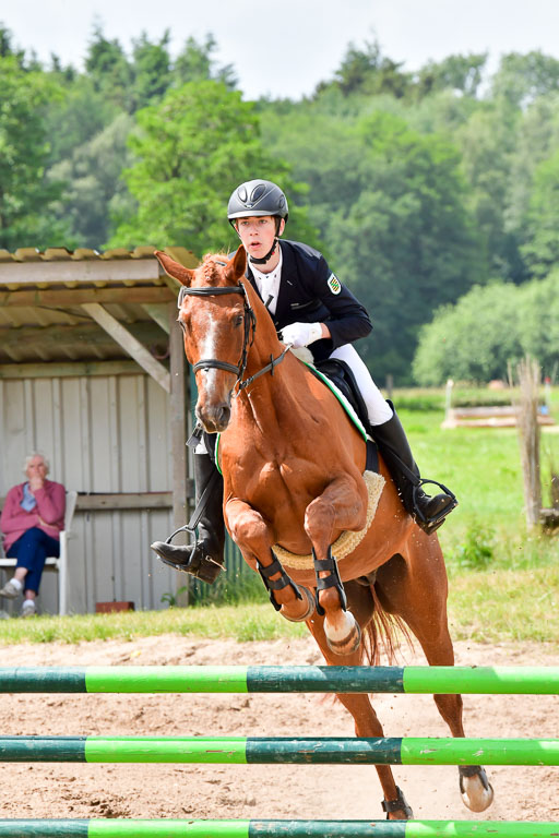 Goldene Schärpe PFerde  in Löningen  11+12.6.22 | 22062022 Springen 2 Abt _280 