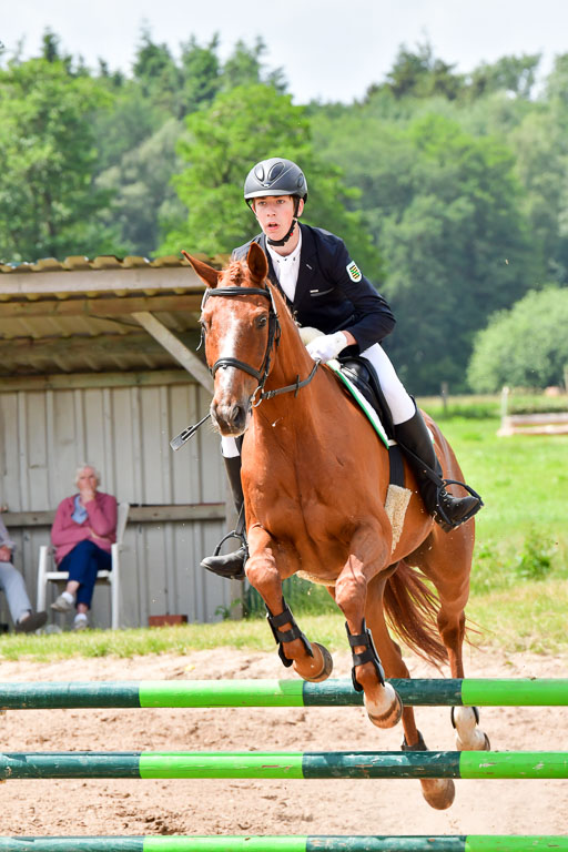 Goldene Schärpe PFerde  in Löningen  11+12.6.22 | 22062022 Springen 2 Abt _281 