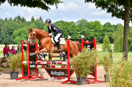 Goldene Schärpe PFerde  in Löningen  11+12.6.22 | 22062022 Springen 2 Abt _286 